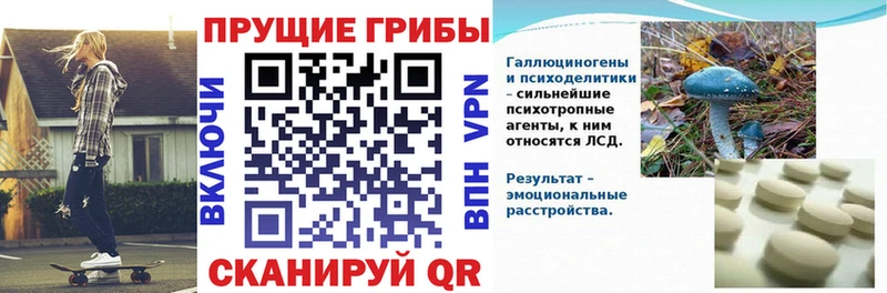 Галлюциногенные грибы мухоморы  хочу наркоту  Пыталово 